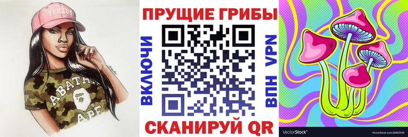 цена наркотик  Верхотурье  сайты даркнета Telegram  Псилоцибиновые грибы GOLDEN TEACHER 